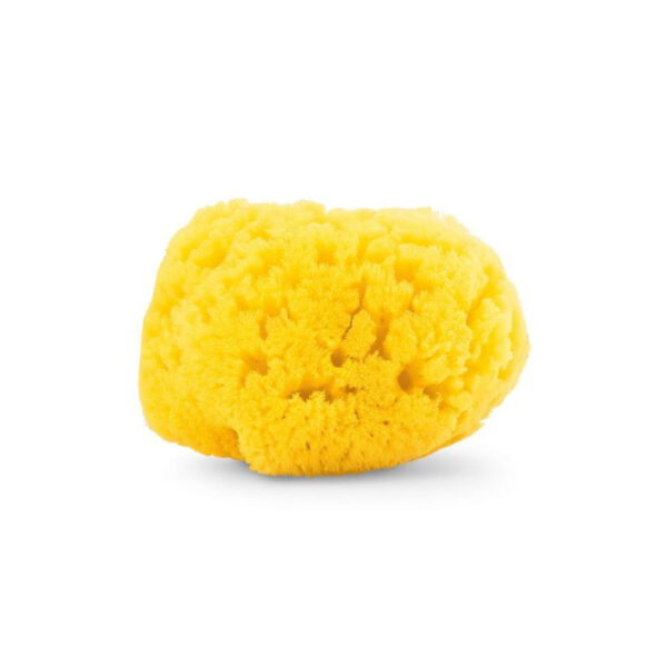 Chicco Esponja Marinha