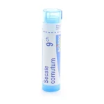SECALE CORNUTUM 9CH - GRANULOS