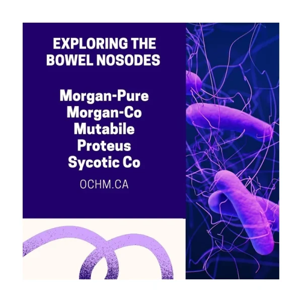 1049817 Morgan pure 15CH