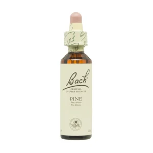FLORAIS DE BACH PINE/ PINO SILVESTRE