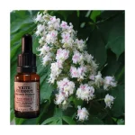 FLORAIS DE BACH WHITE CHESTNUT /CASTAN BR